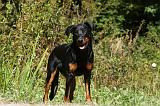 BEAUCERON 718